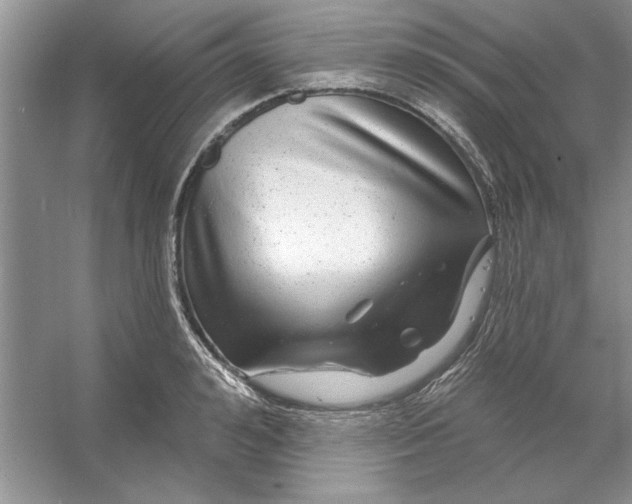 X0000053120992200507251718