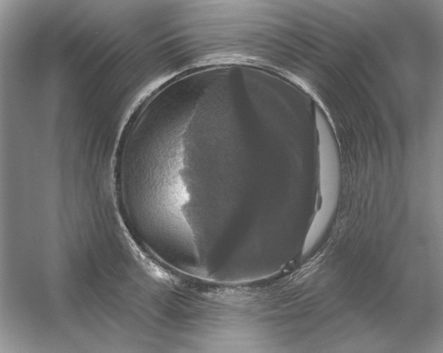 X0000053120995200507251718