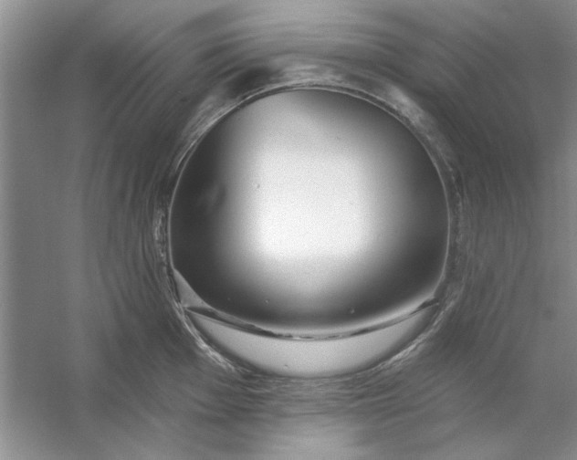 X0000053121001200507251718