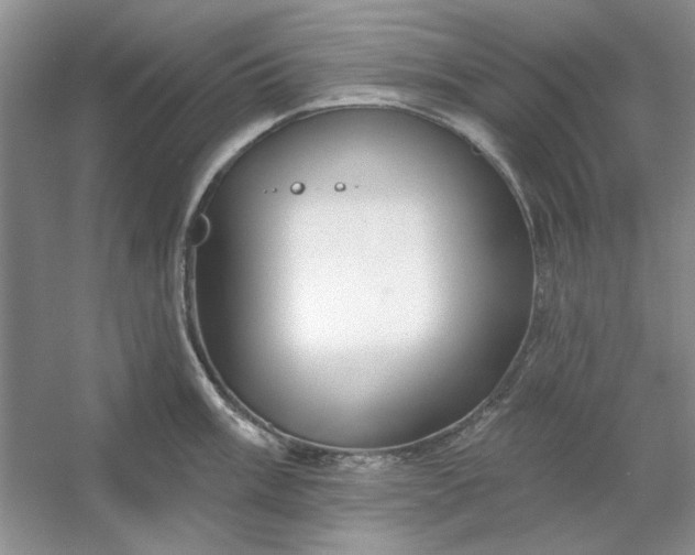 X0000053121003200507251718