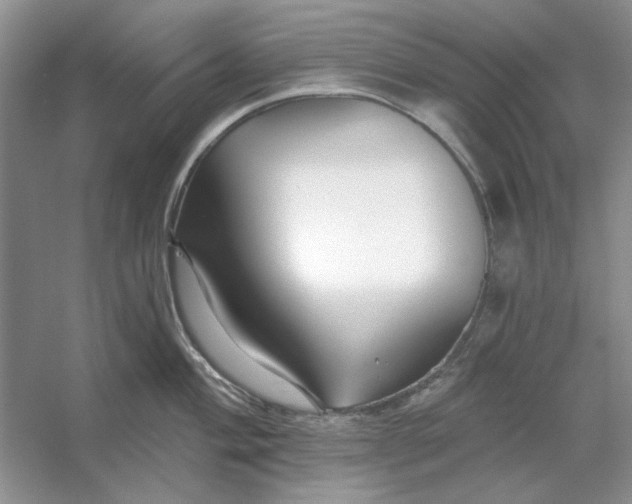 X0000053121004200507251718