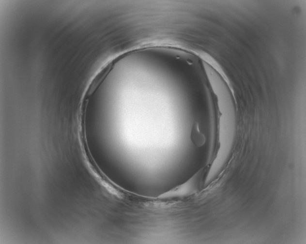 X0000053121005200507251718