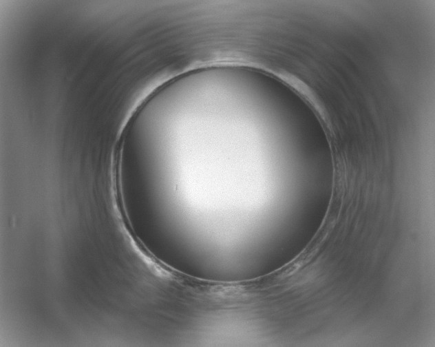X0000053121006200507251718