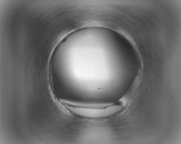 X0000053121008200507251718