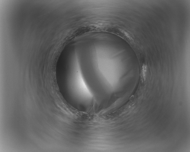 X0000053121009200507251717