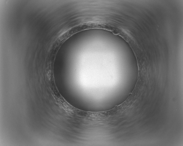 X0000053121015200507251717