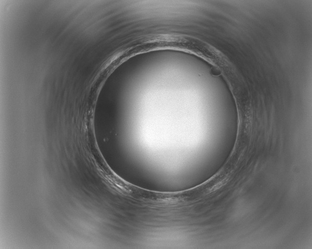 X0000053121017200507251717