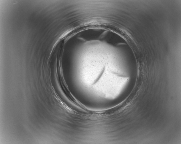 X0000053121018200507251717
