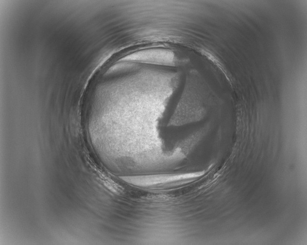 X0000053121023200507251717