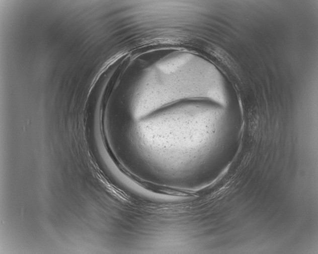 X0000053121026200507251718
