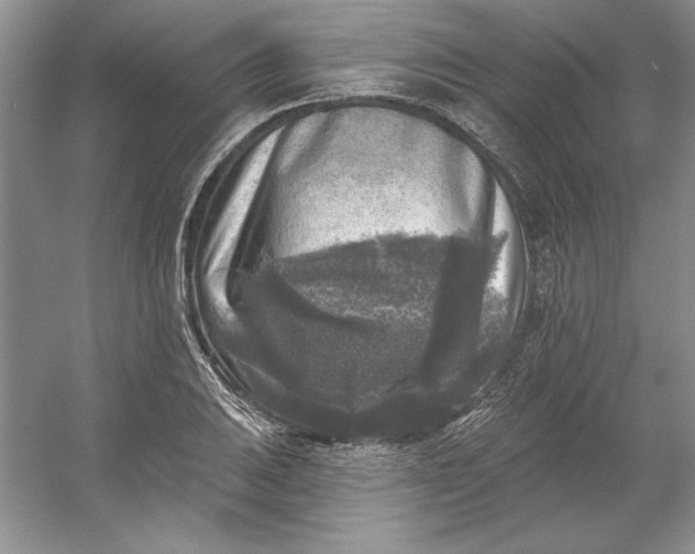 X0000053121031200507251718