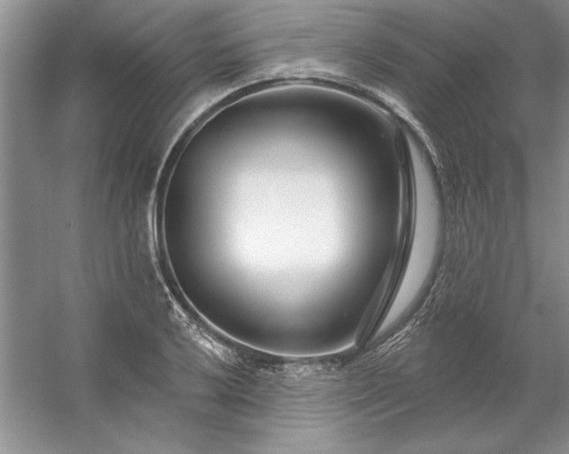 X0000053121032200507251718
