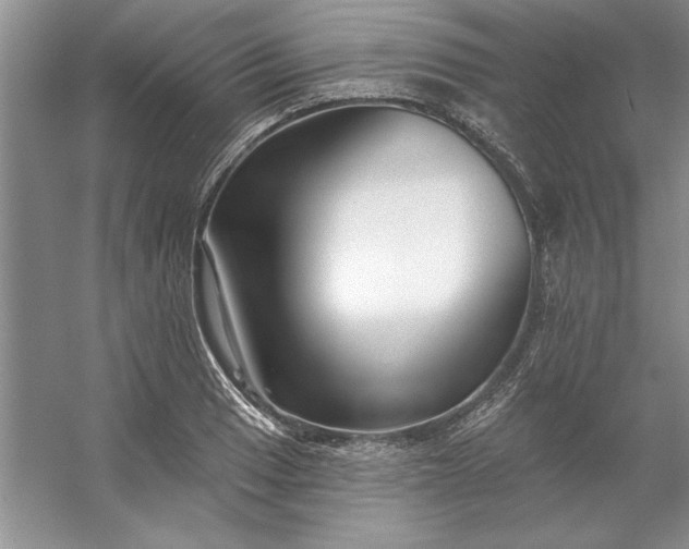 X0000053121033200507251718