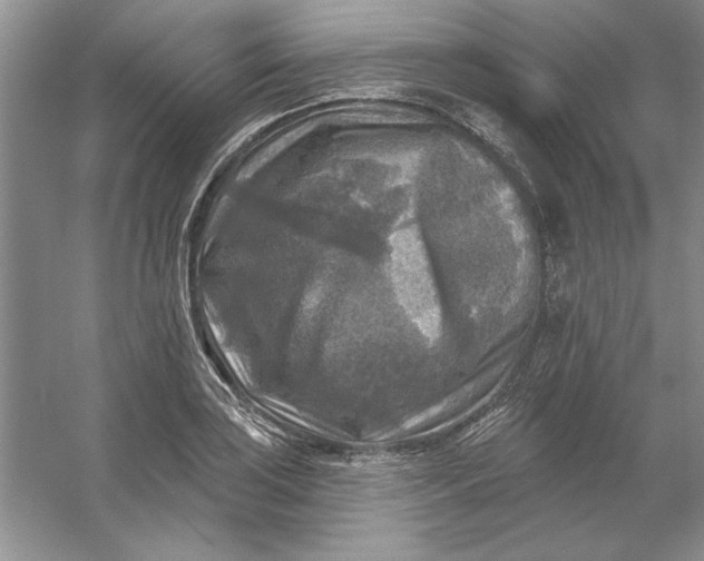 X0000053121035200507251718
