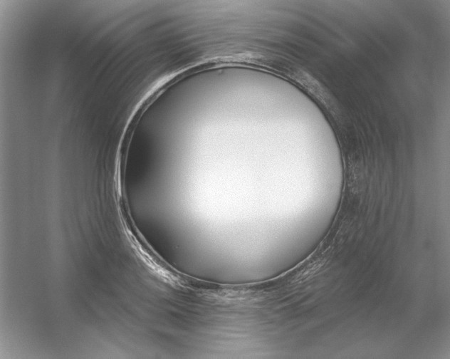 X0000053121036200507251718