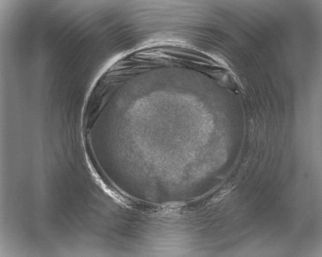 X0000053121038200507251718