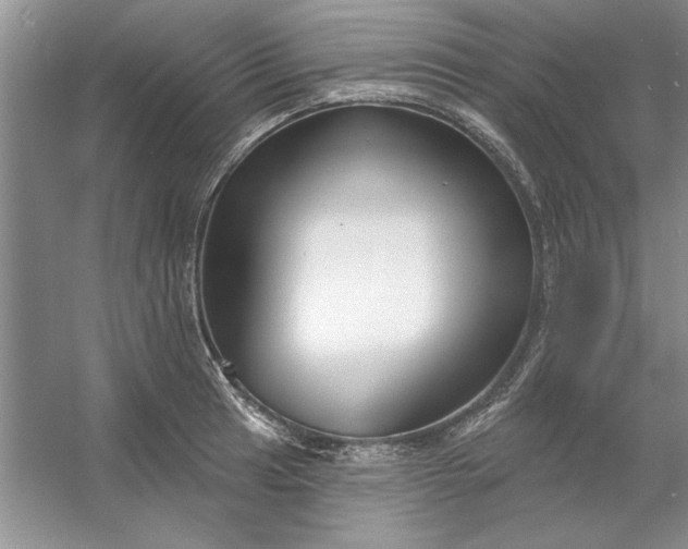 X0000053121041200507251718
