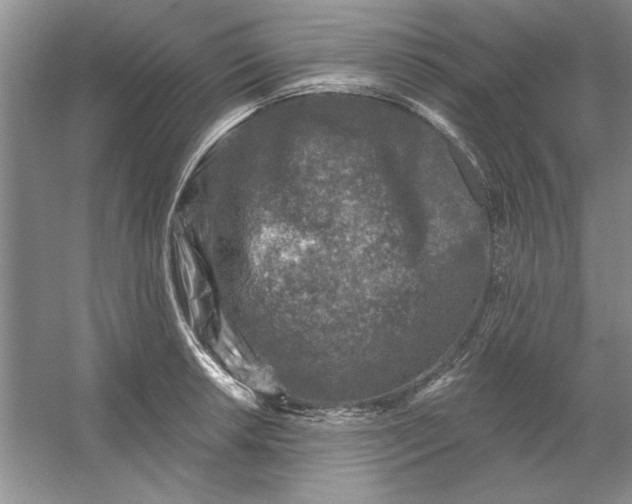 X0000053121042200507251718
