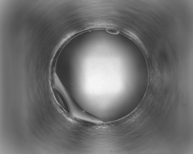 X0000053121043200507251718
