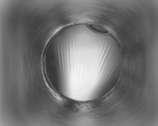 X0000053121047200507251718