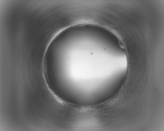 X0000053121056200507251718