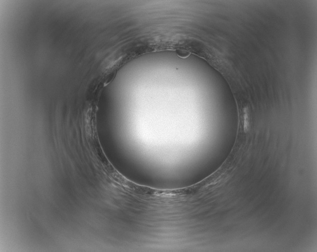 X0000053121059200507251717