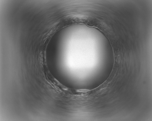 X0000053121061200507251717