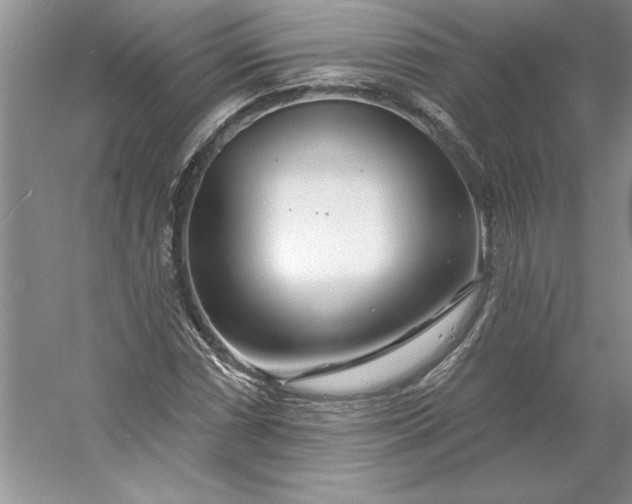 X0000053121066200507251717