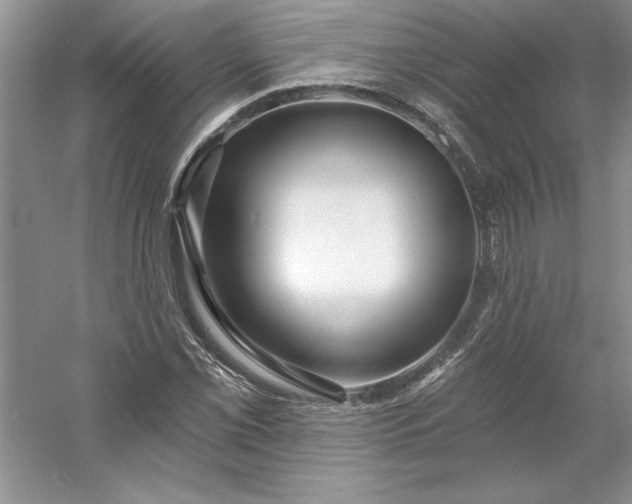 X0000053121069200507251717