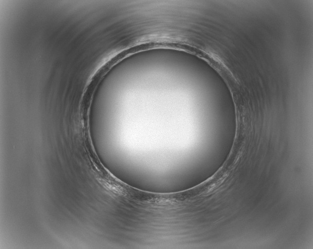 X0000053121070200507251717