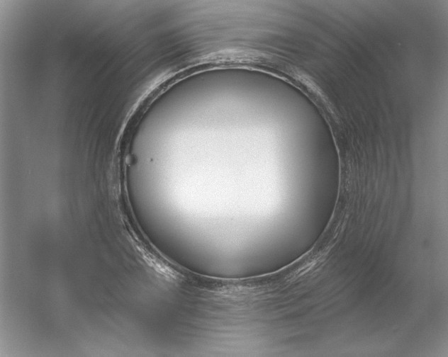 X0000053121075200507251717