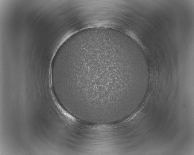 X0000053121079200507251717