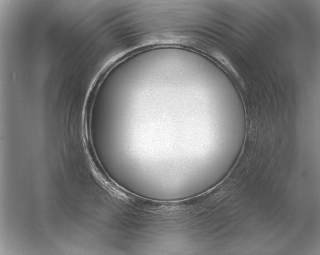 X0000053121080200507251717