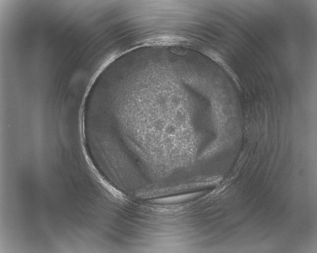 X0000053121083200507251717