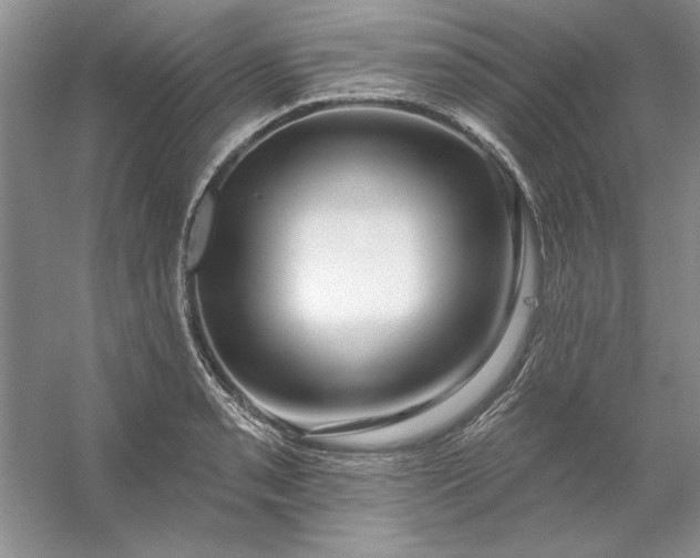 X0000053121085200507251717