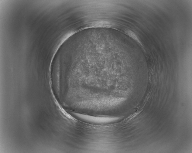 X0000053121087200507251717