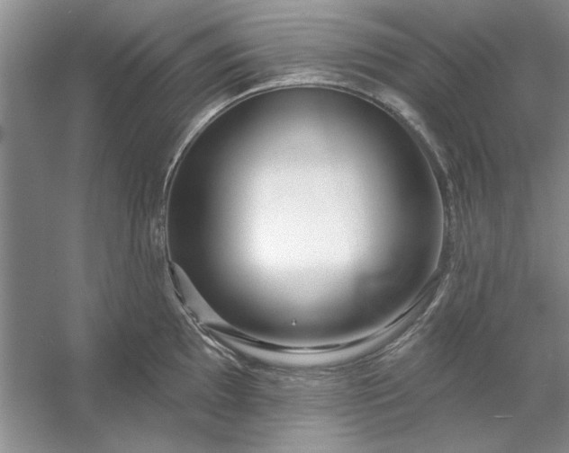 X0000053121097200507251717