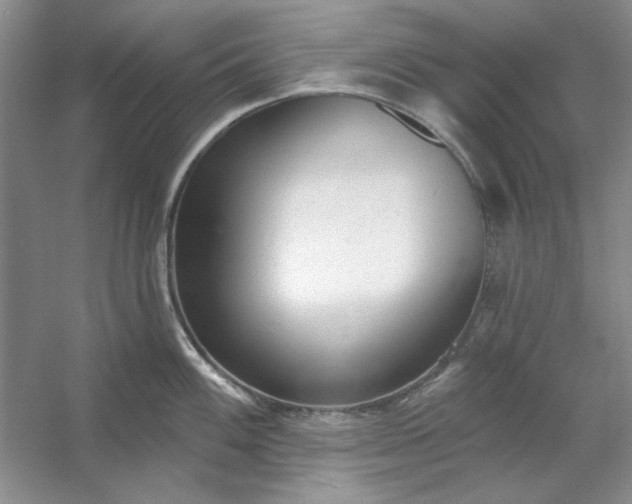X0000053121100200507251716