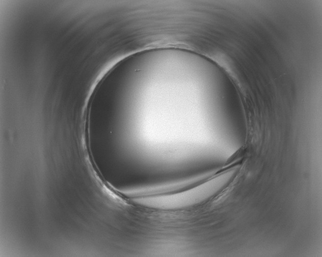 X0000053121102200507251716