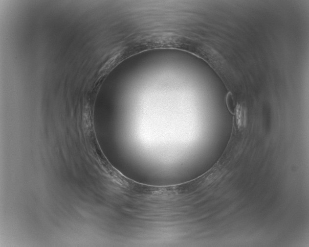 X0000053121107200507251716