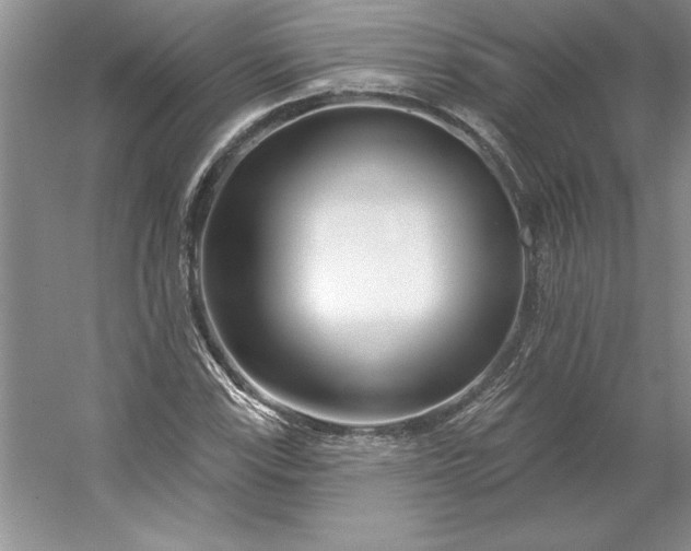 X0000053121115200507251716