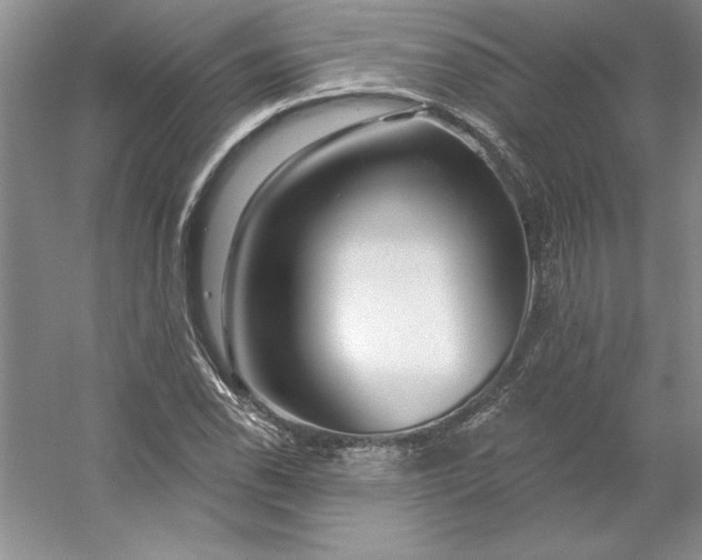 X0000053121118200507251716