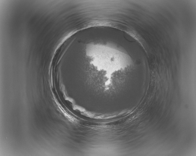 X0000053121127200507251716