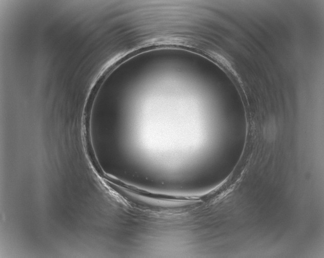 X0000053121133200507251716