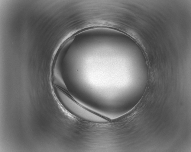 X0000053121136200507251716