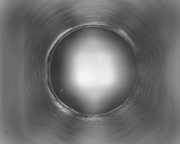 X0000053121140200507251716