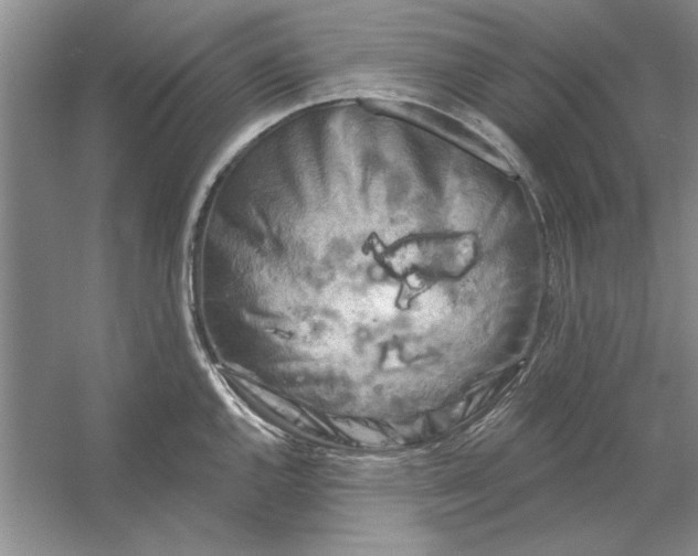 X0000053121144200507251716