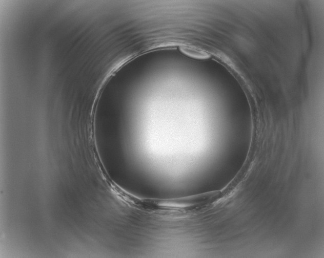 X0000053121145200507251716