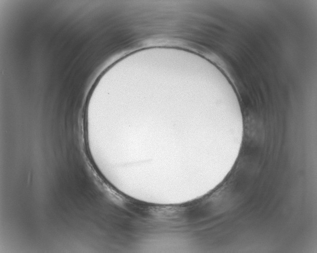X0000053121150200507251716