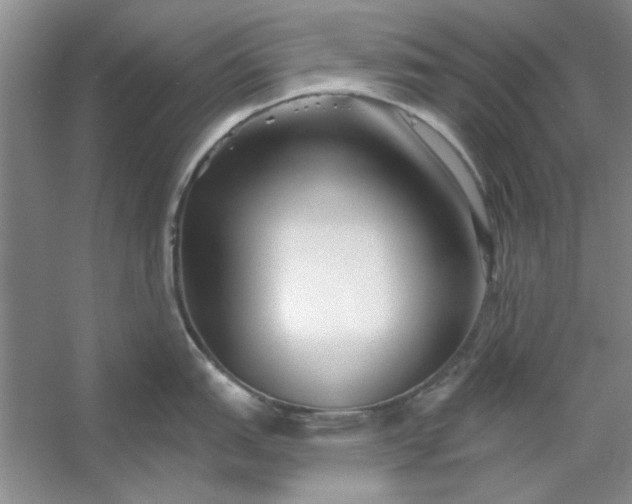 X0000053121151200507251716